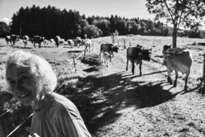 The place I call home – Vorschaubild